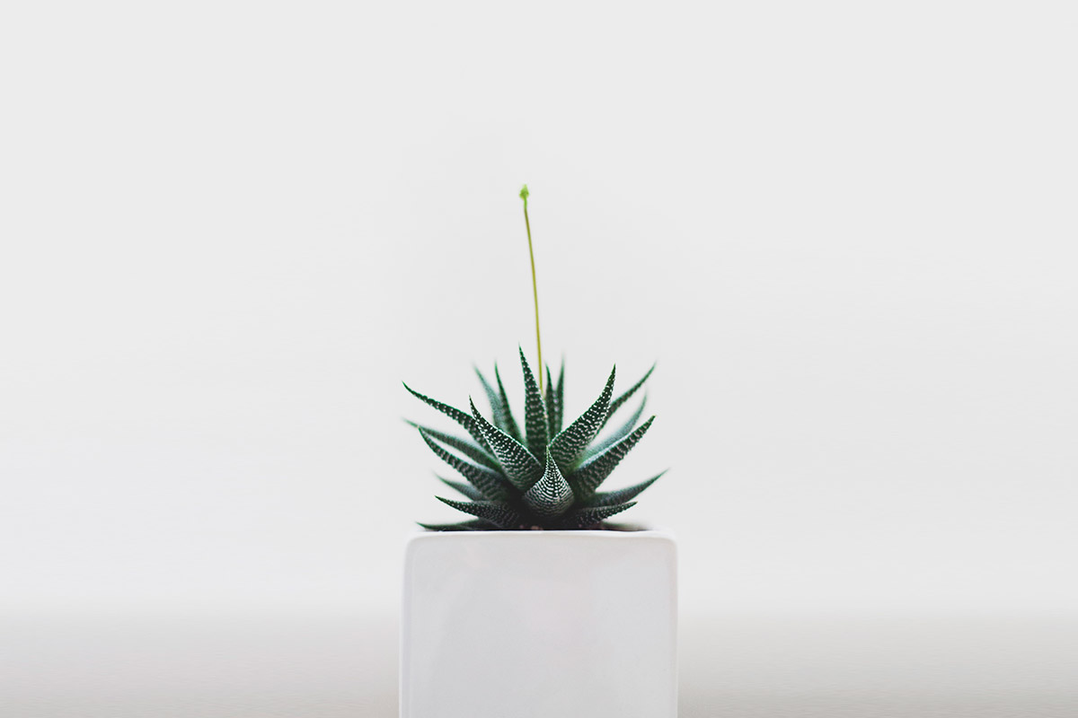 a